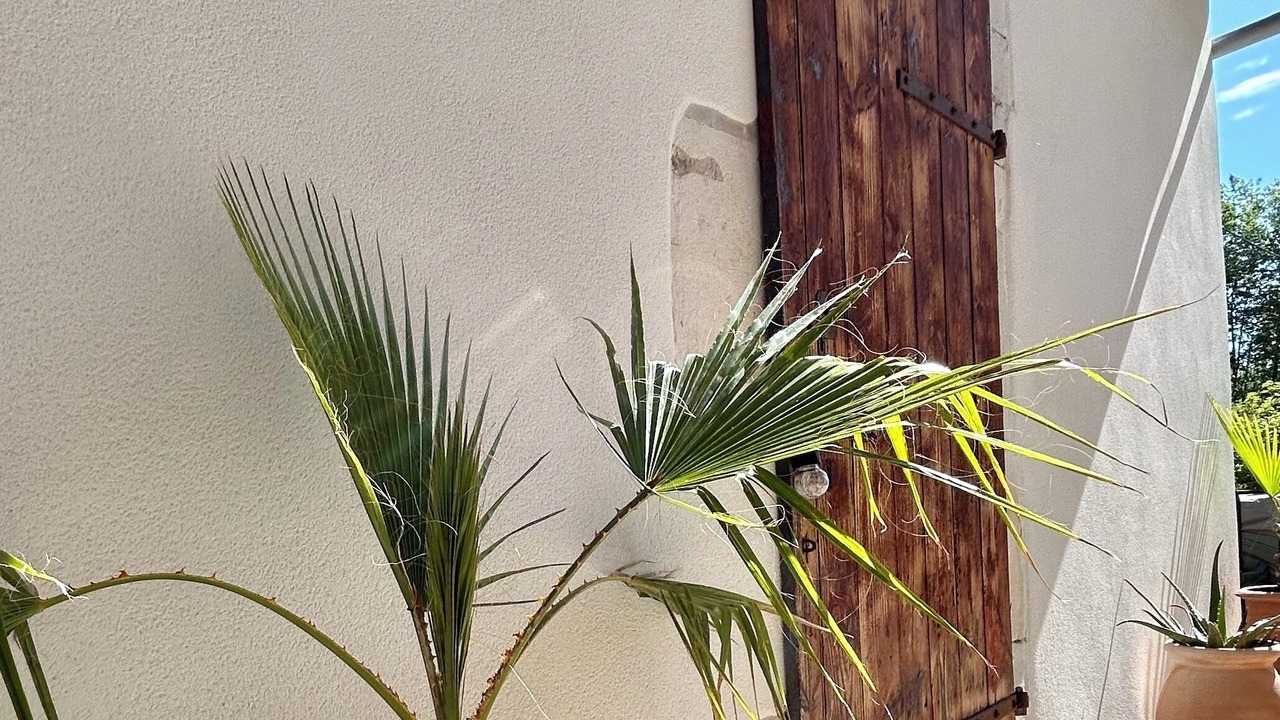 Photo of Outdoor in Josse