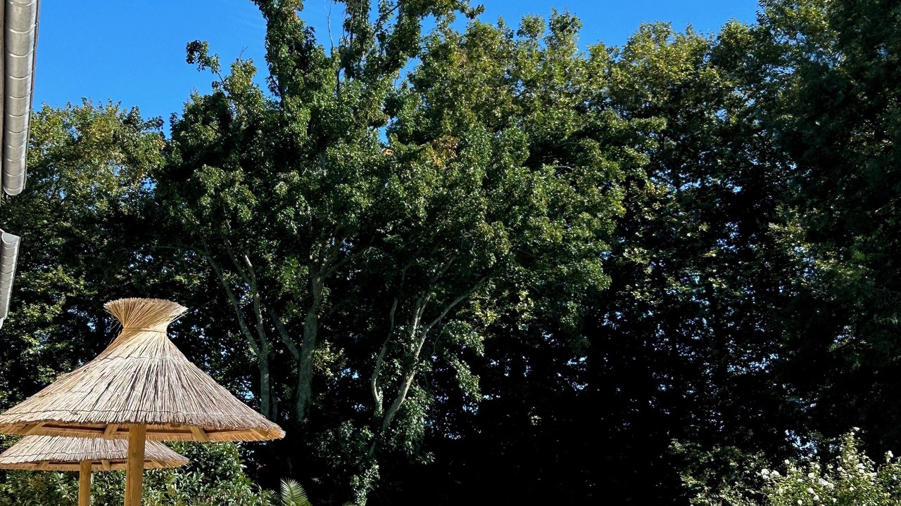 Photo of Outdoor in Josse