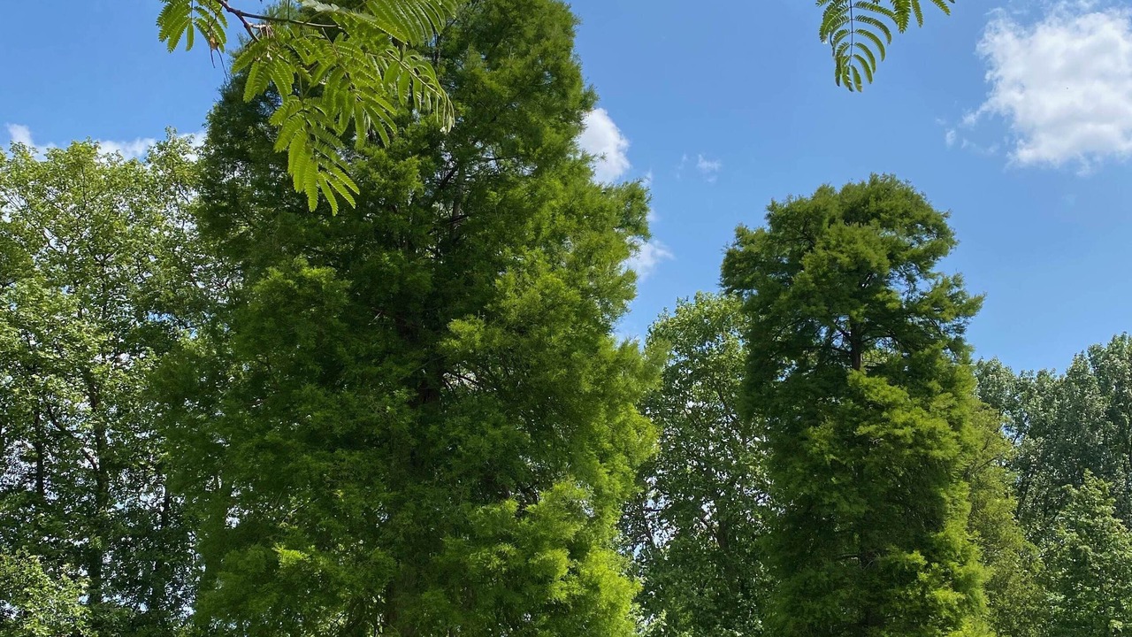 Photo of Outdoor in Josse