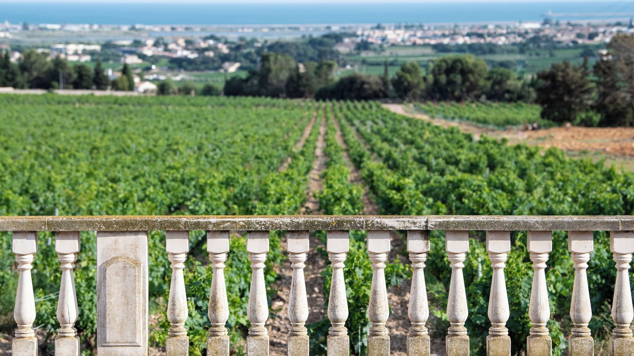 Photo of Outdoor in Frontignan