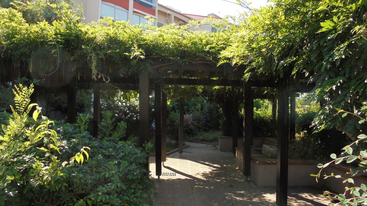 Photo of Outdoor in Plage d'Argeles