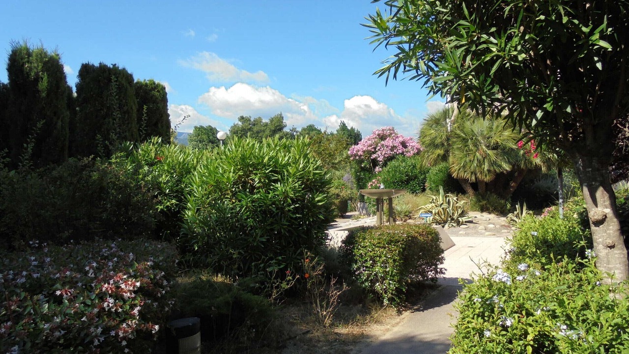 Photo of Outdoor in Plage d'Argeles
