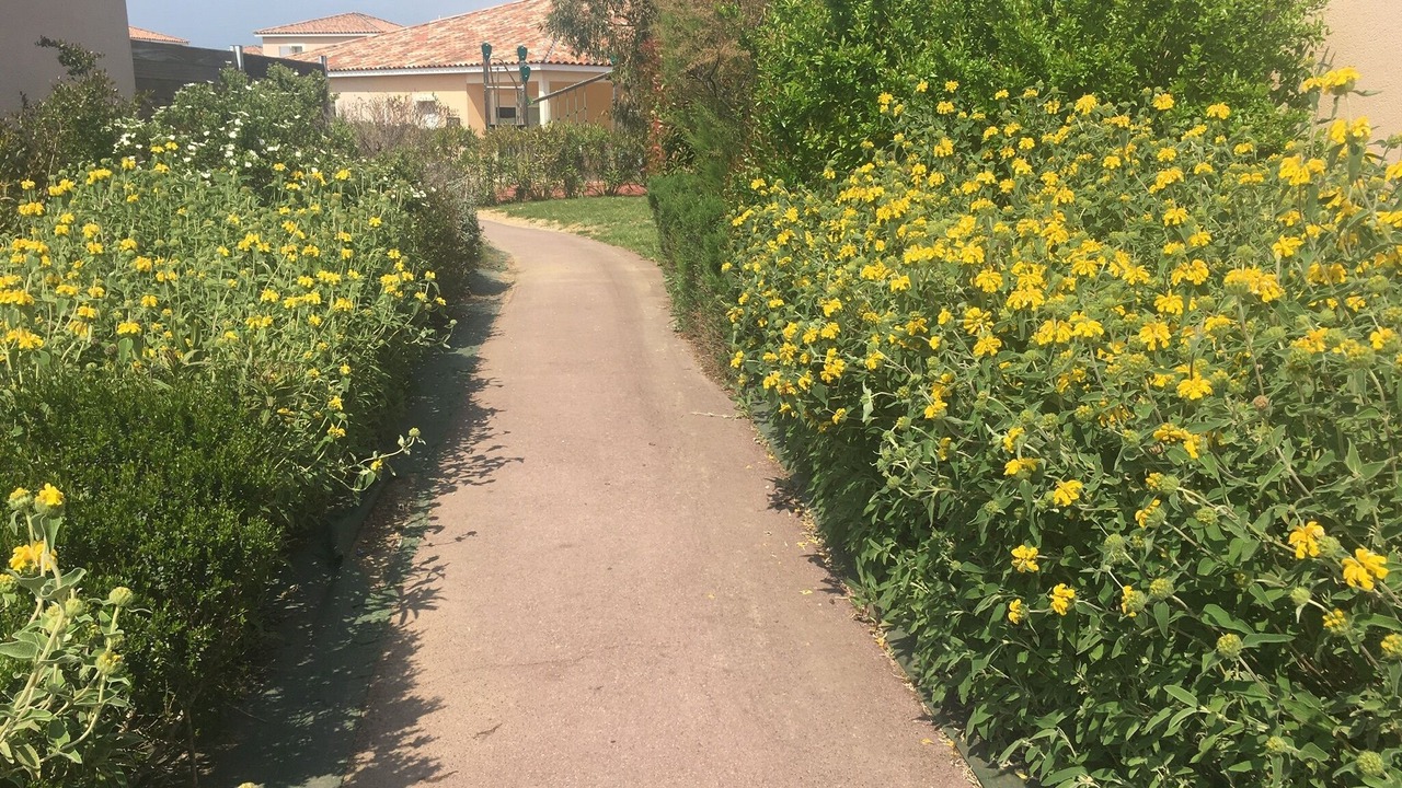 Photo of Outdoor in Fabregues