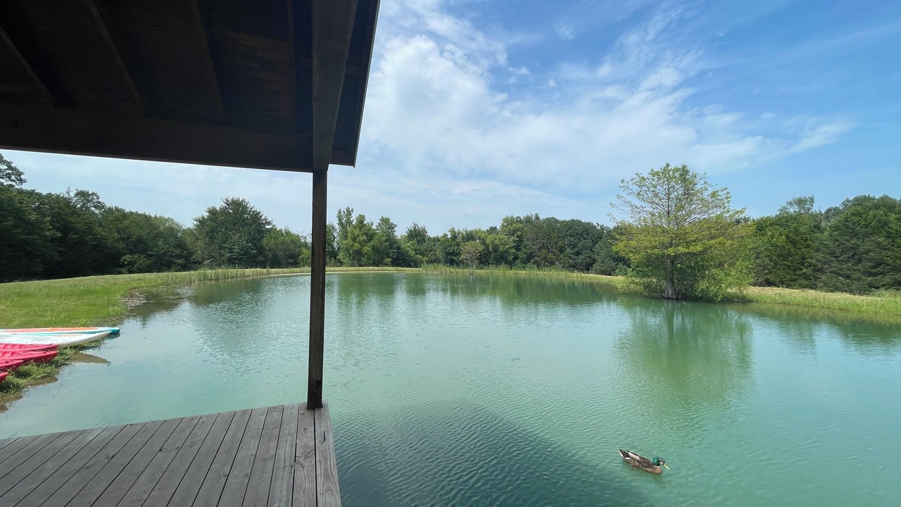 Photo of Outdoor in Greenville