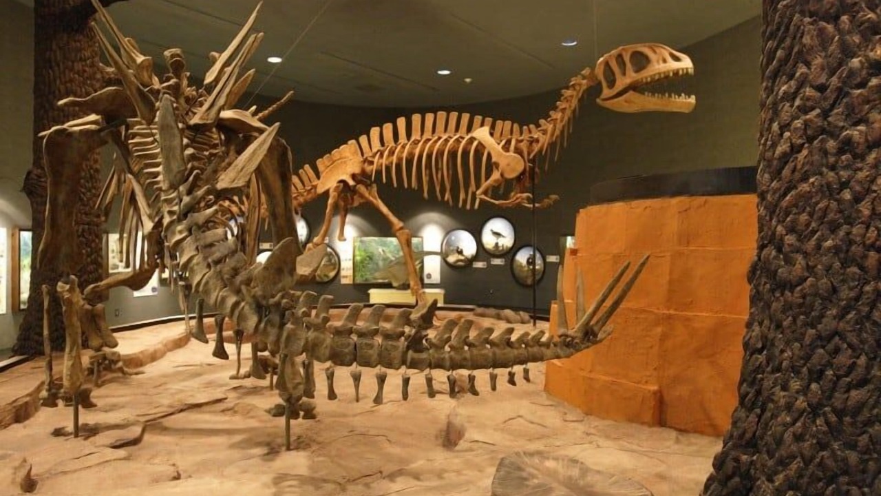 Photo of Others in Newark