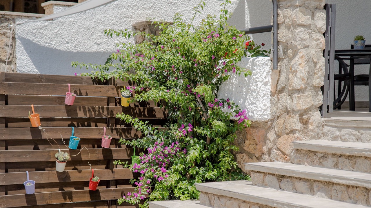 Photo of Outdoor in Mont-roig Bahia