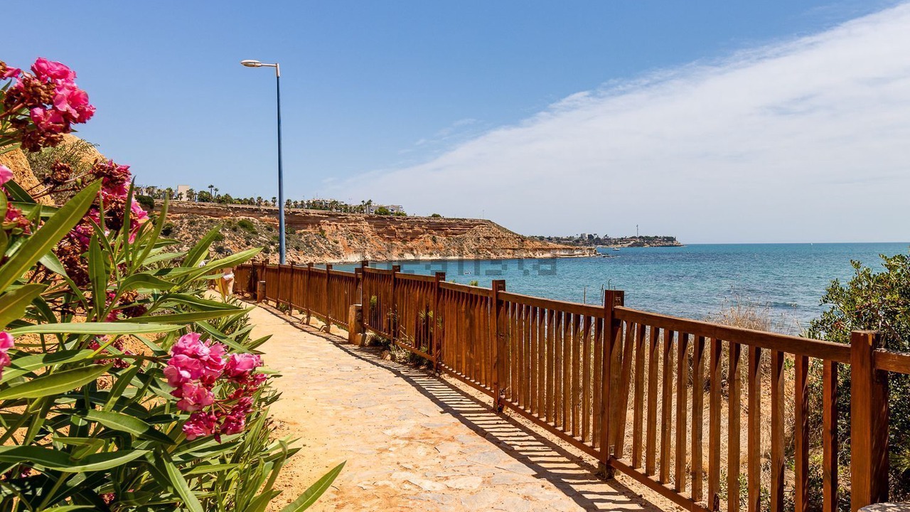 Photo of Outdoor in Dehesa de Campoamor
