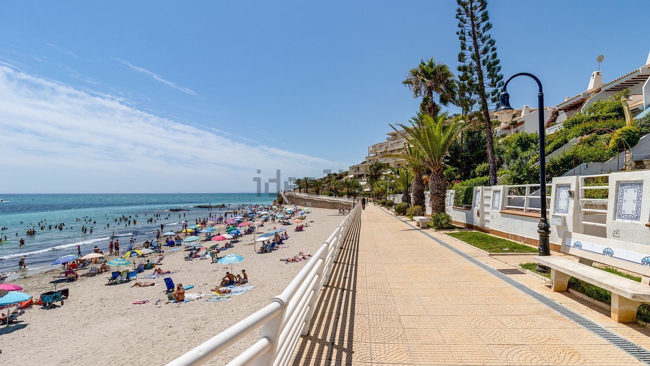 Photo of Others in Dehesa de Campoamor