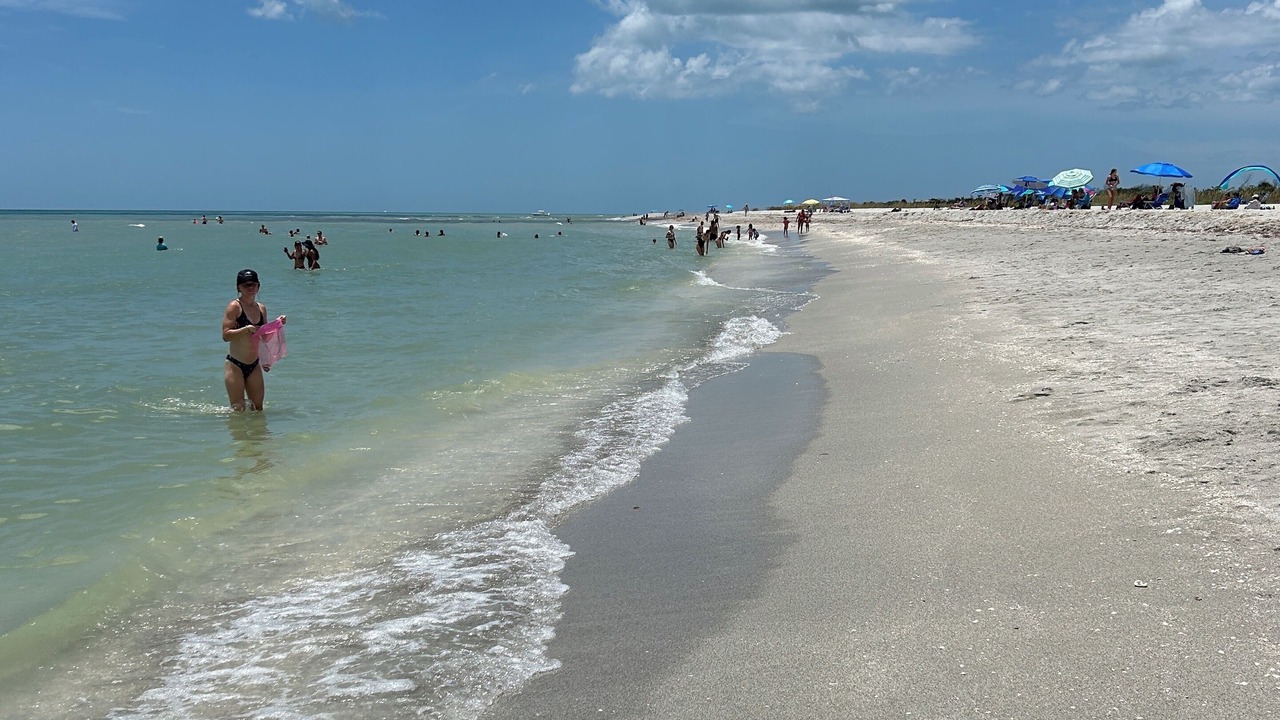 Photo of Others in Fort Myers