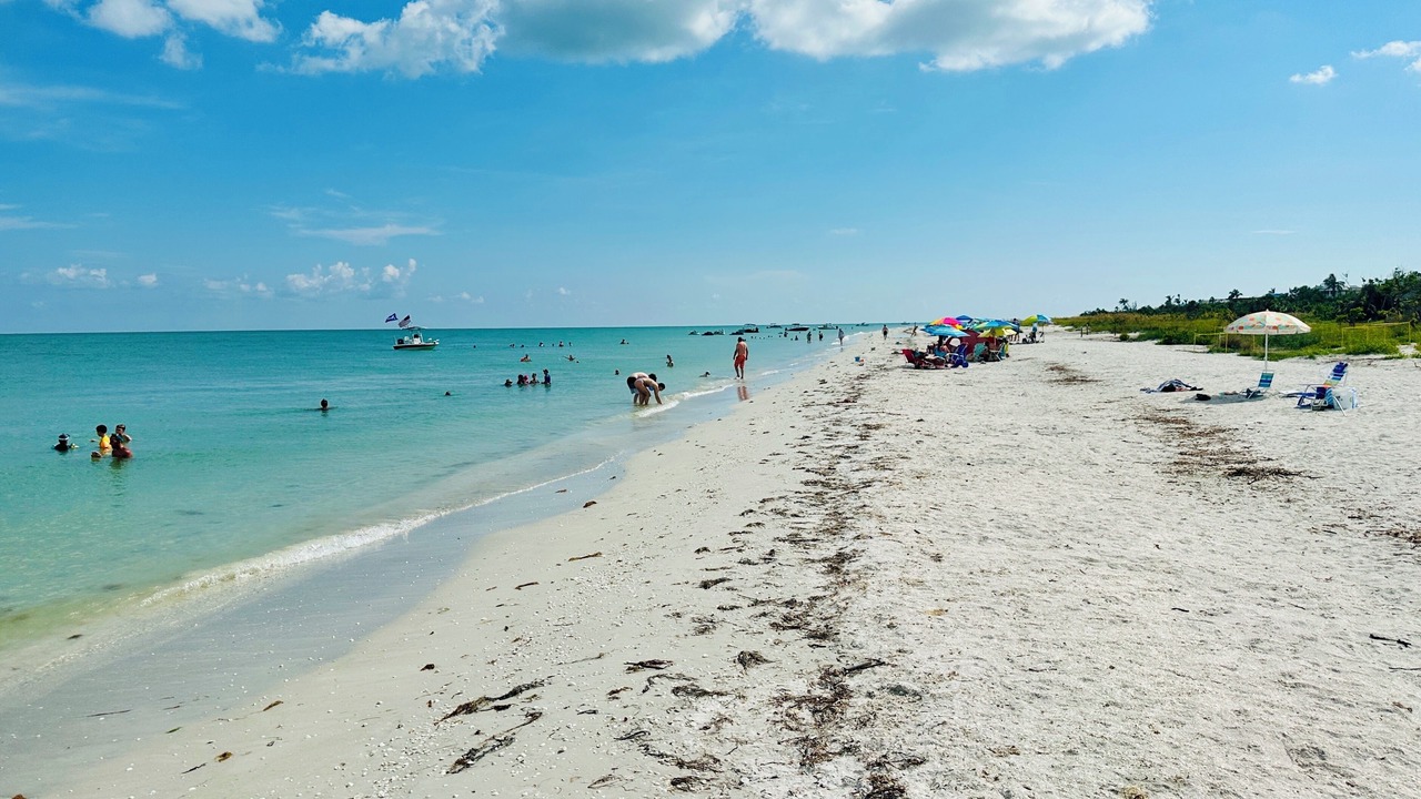 Photo of Others in Fort Myers