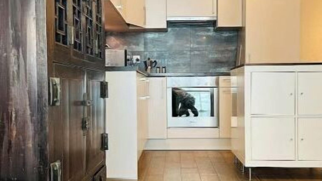 Photo of Kitchen in Morges