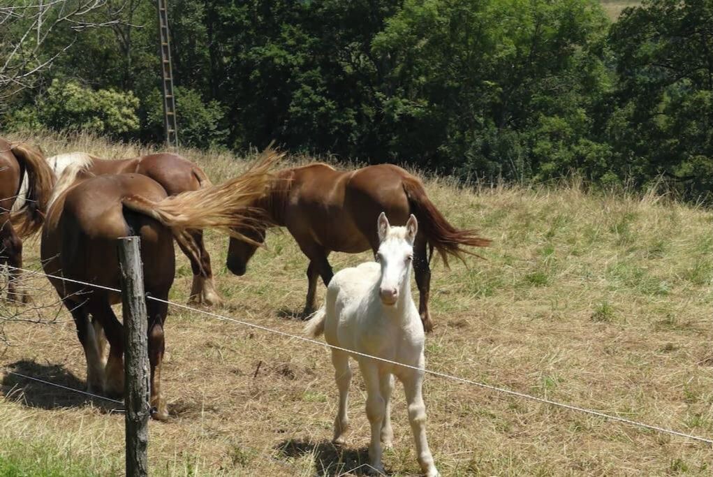 Photo of Outdoor in Cuguron