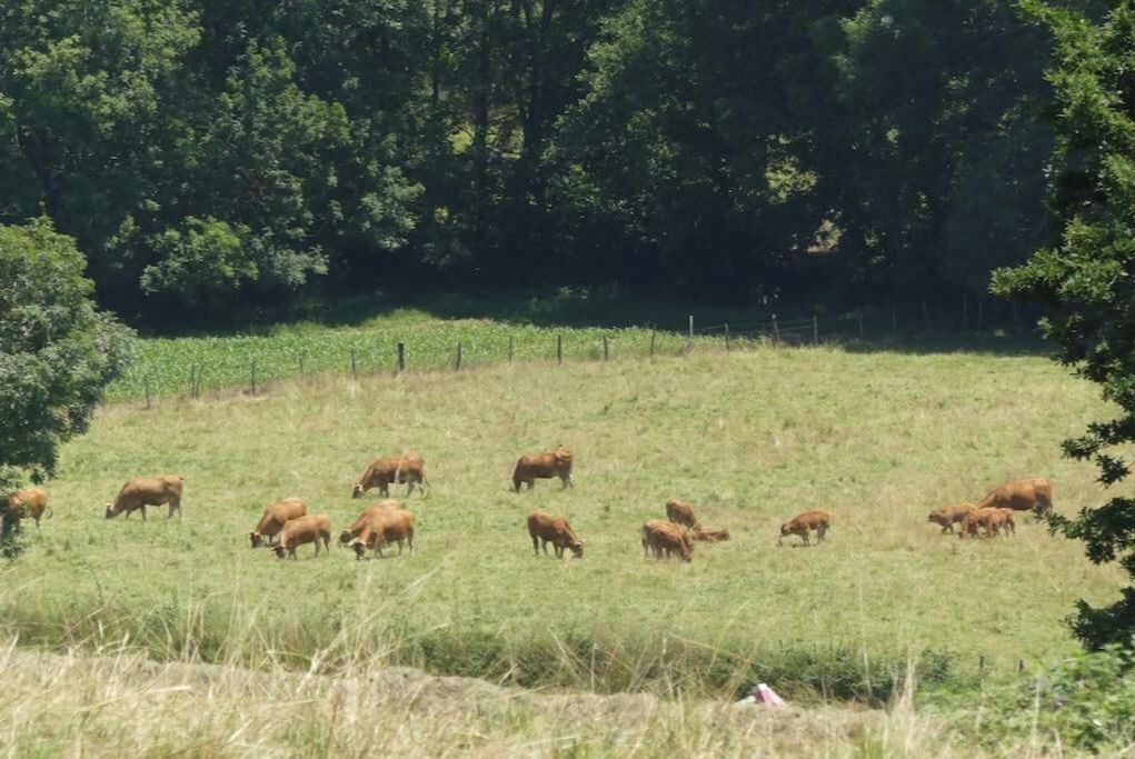 Photo of Outdoor in Cuguron