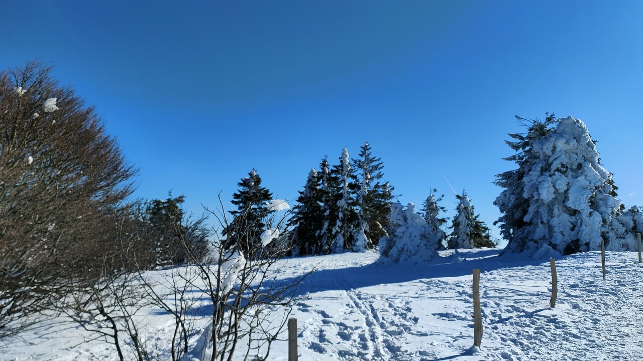 Photo of Others in Lusse