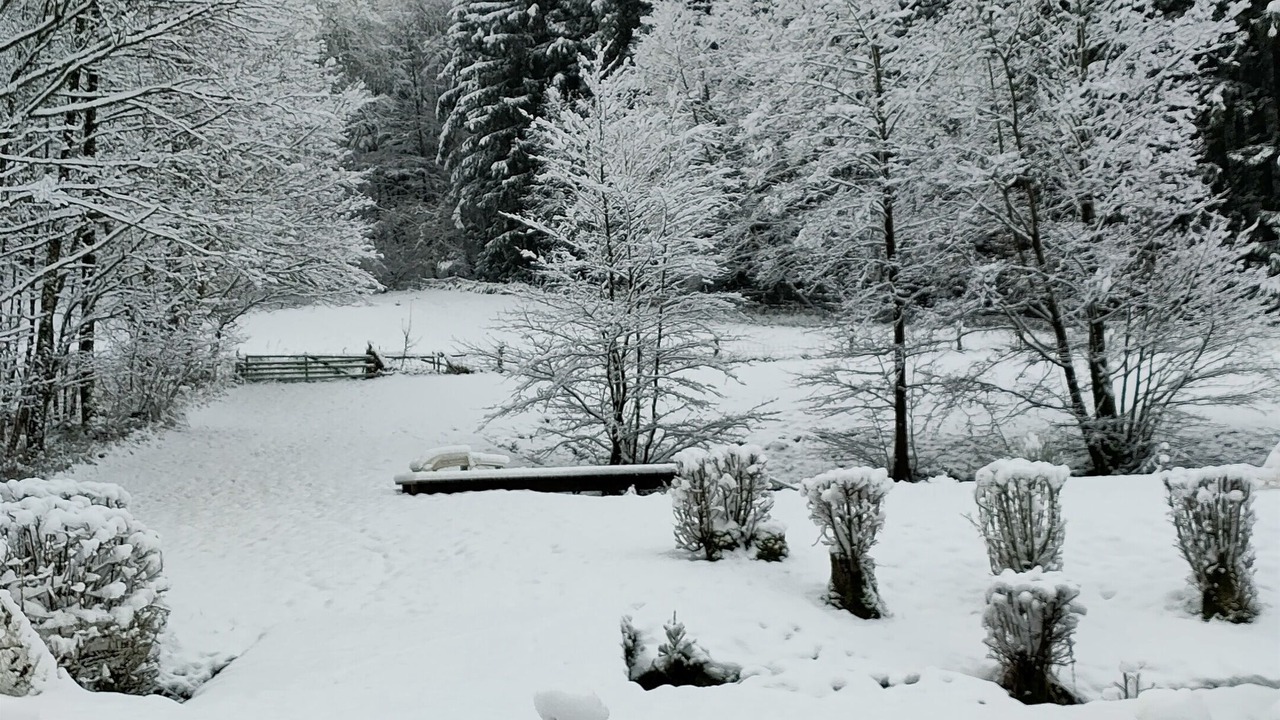 Photo of Outdoor in Lusse