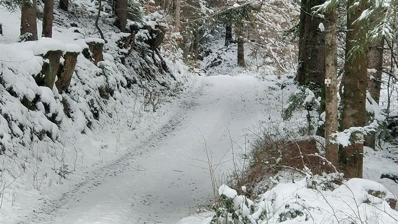 Photo of Outdoor in Lusse