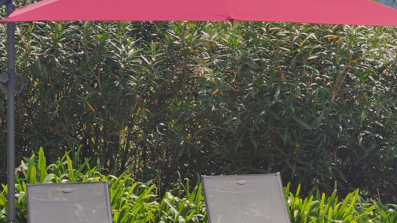 Photo of Patio Balcony in Roumagne