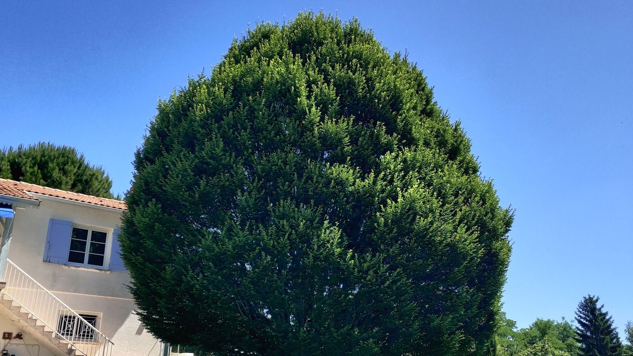 Photo of Outdoor in Roumagne