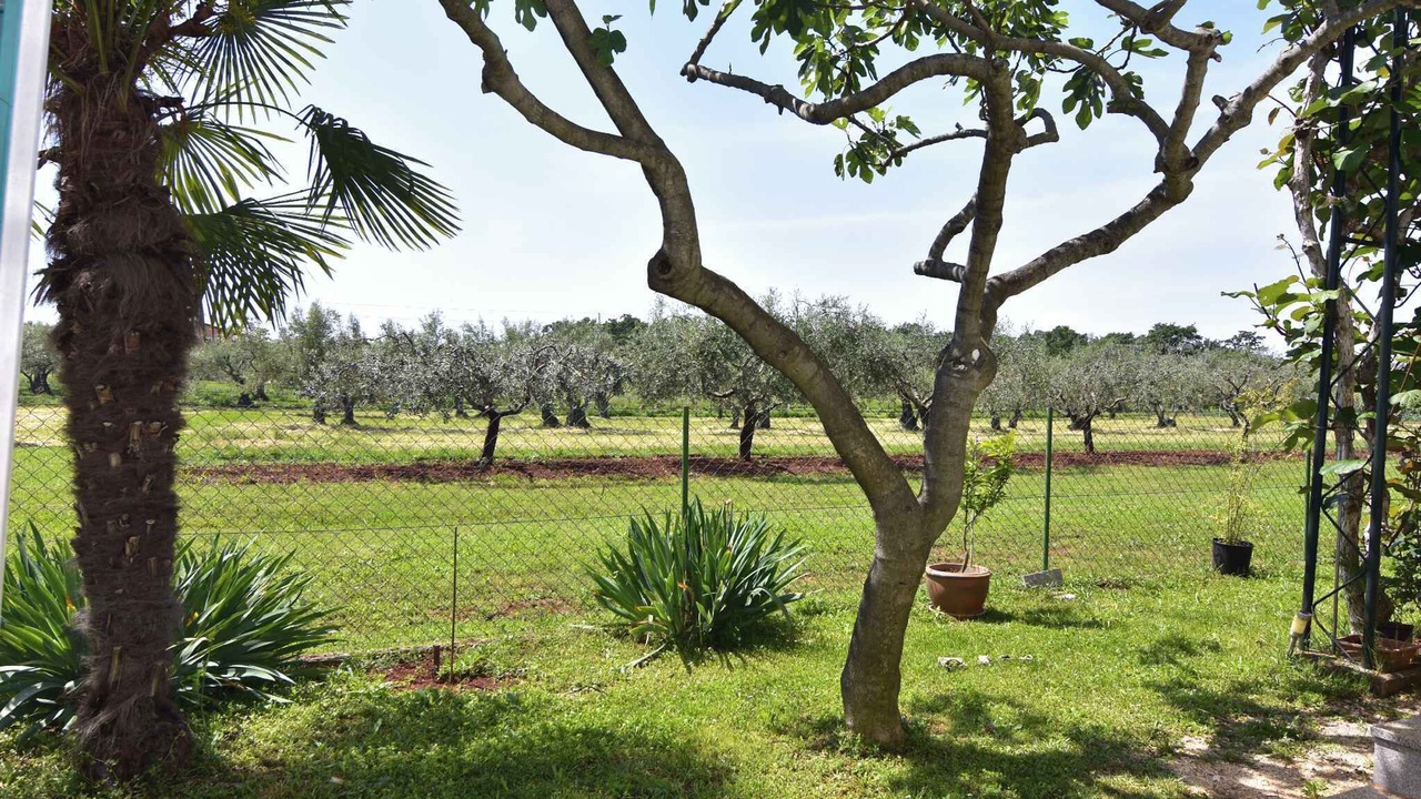 Photo of Outdoor in Krizine