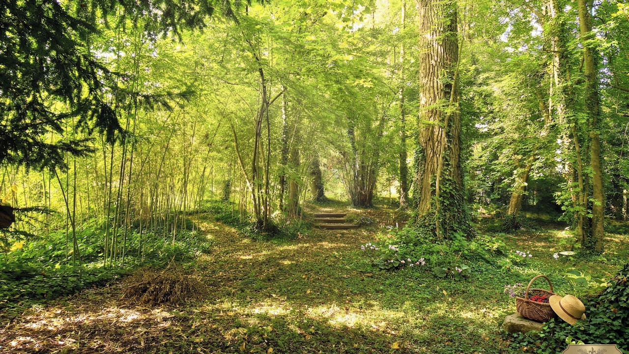 Photo of Outdoor in Claye-Souilly