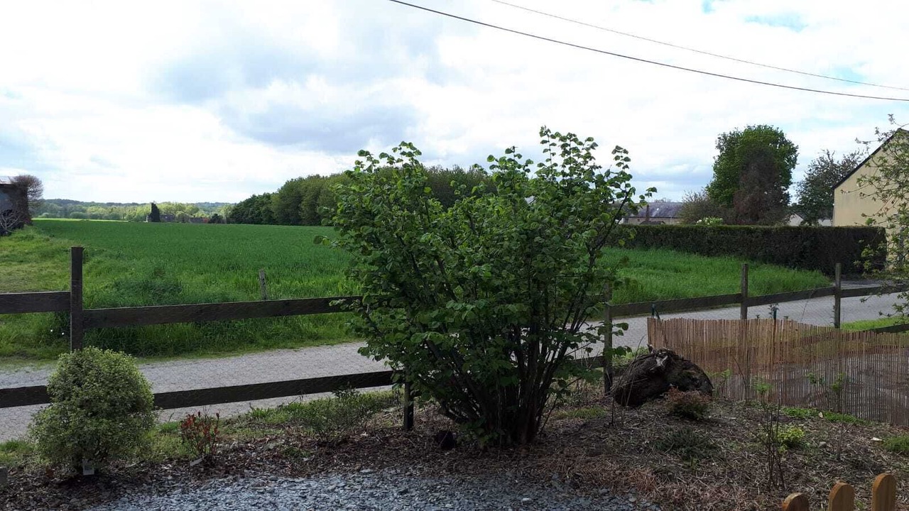 Photo of Outdoor in Pleugueneuc
