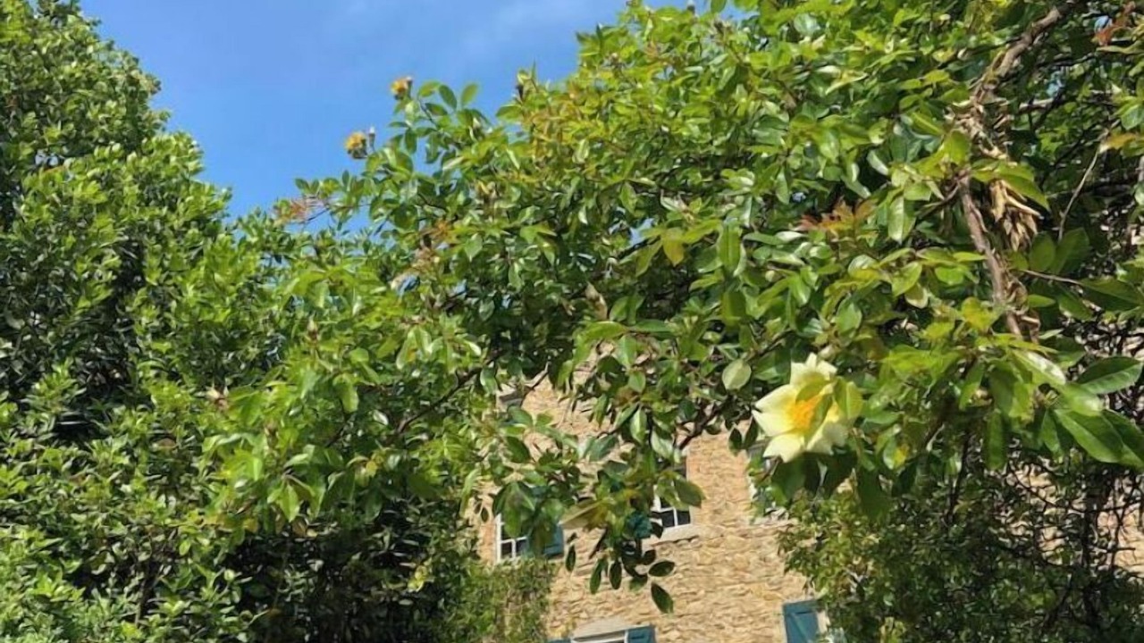Photo of Outdoor in Saint-Sebastien-d'Aigrefeuille