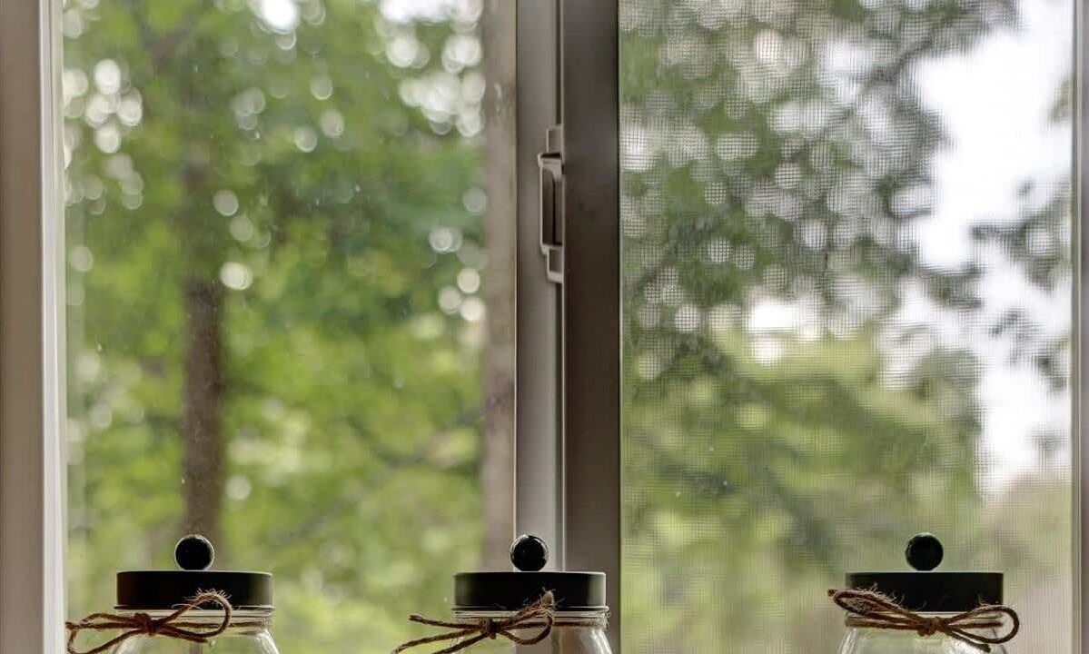 Photo of Others in Canadensis