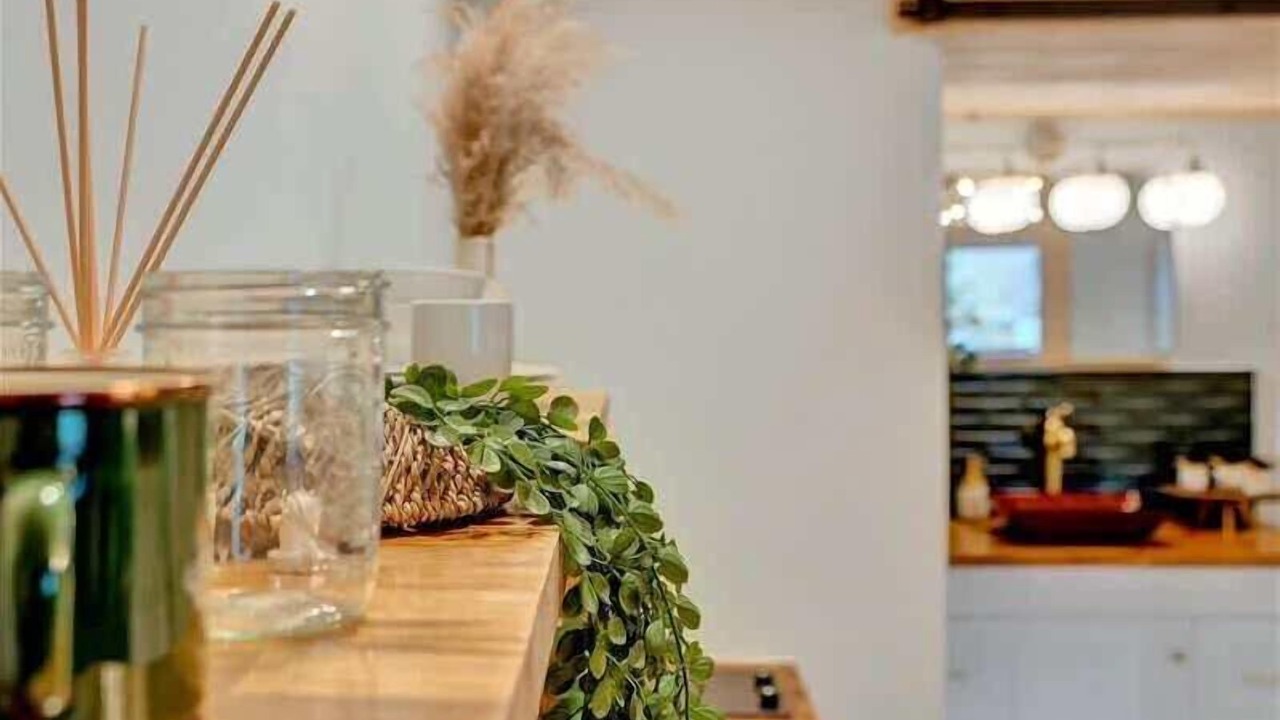 Photo of Others in Canadensis