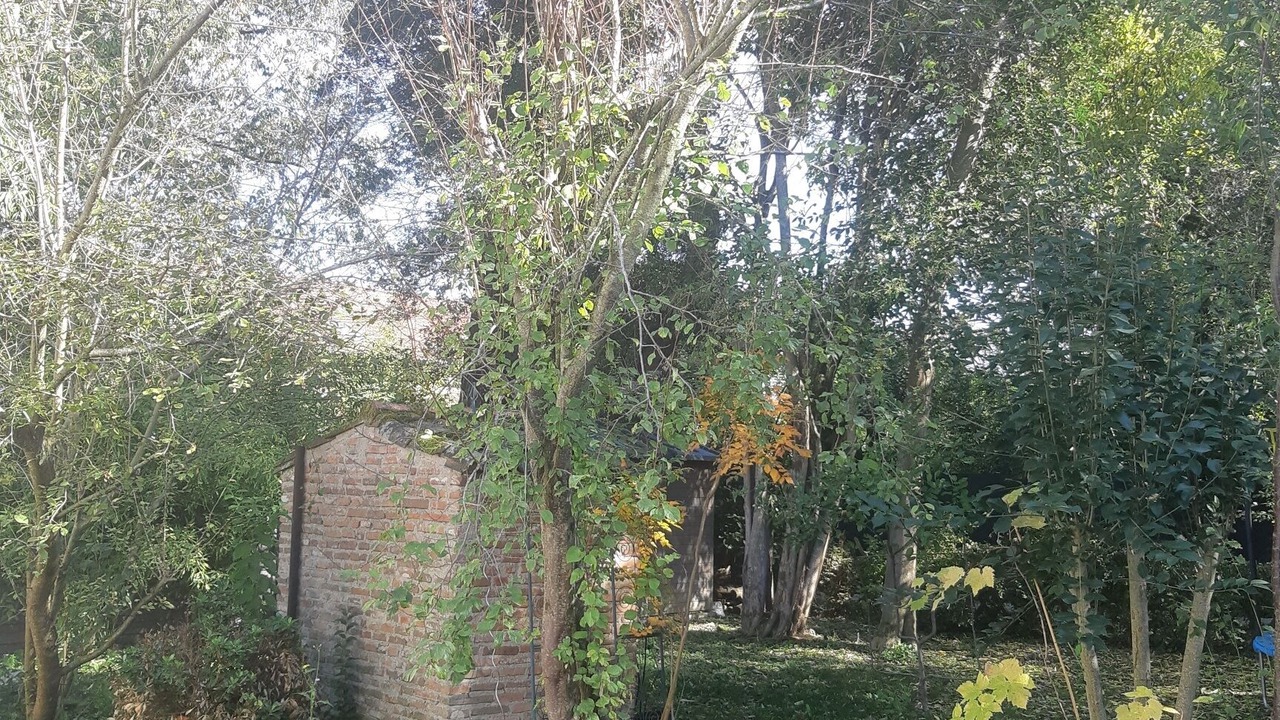 Photo of Outdoor in Saint-Simon