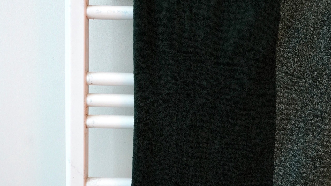 Photo of Others in Cour-Cheverny