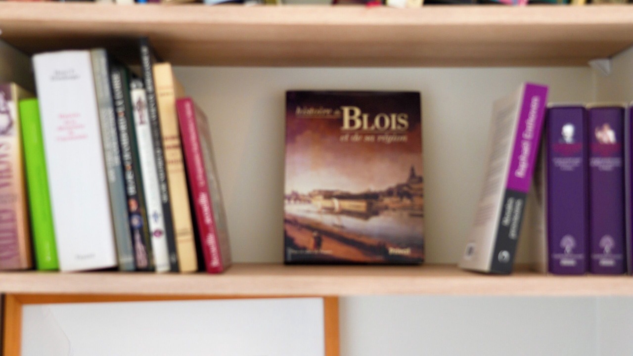 Photo of Others in Cour-Cheverny