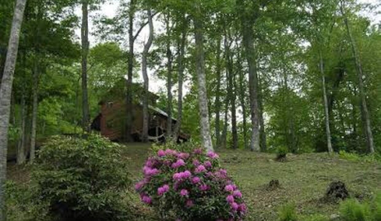 Photo of Outdoor in Bakersville