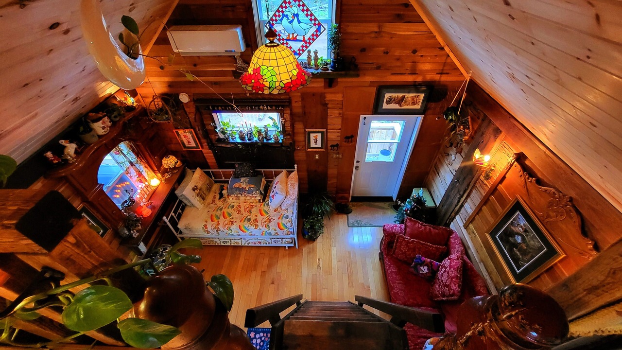 Photo of Others in Belfast