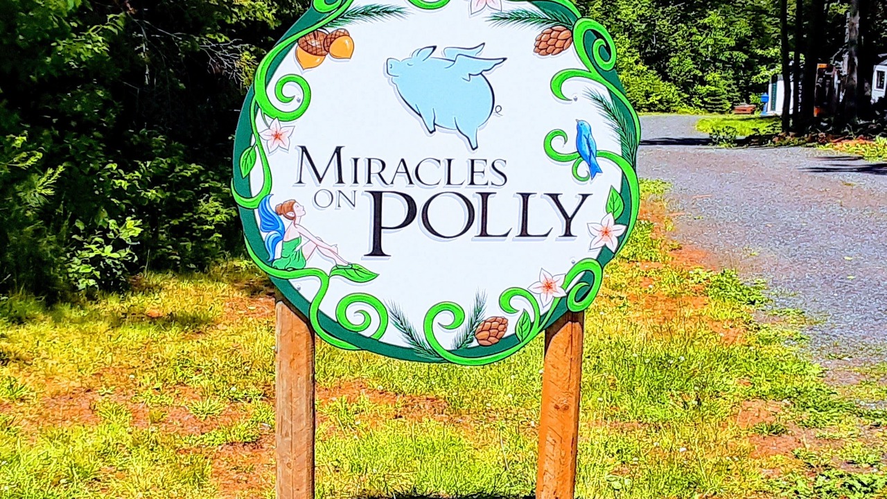 Photo of Outdoor in Belfast