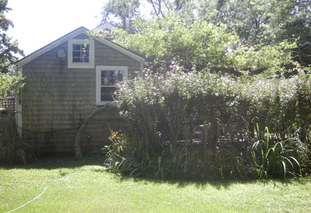 Photo of Outdoor in Tisbury