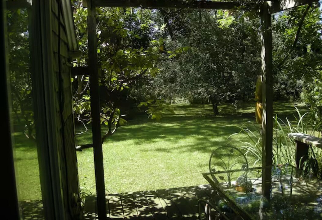 Photo of Others in Tisbury