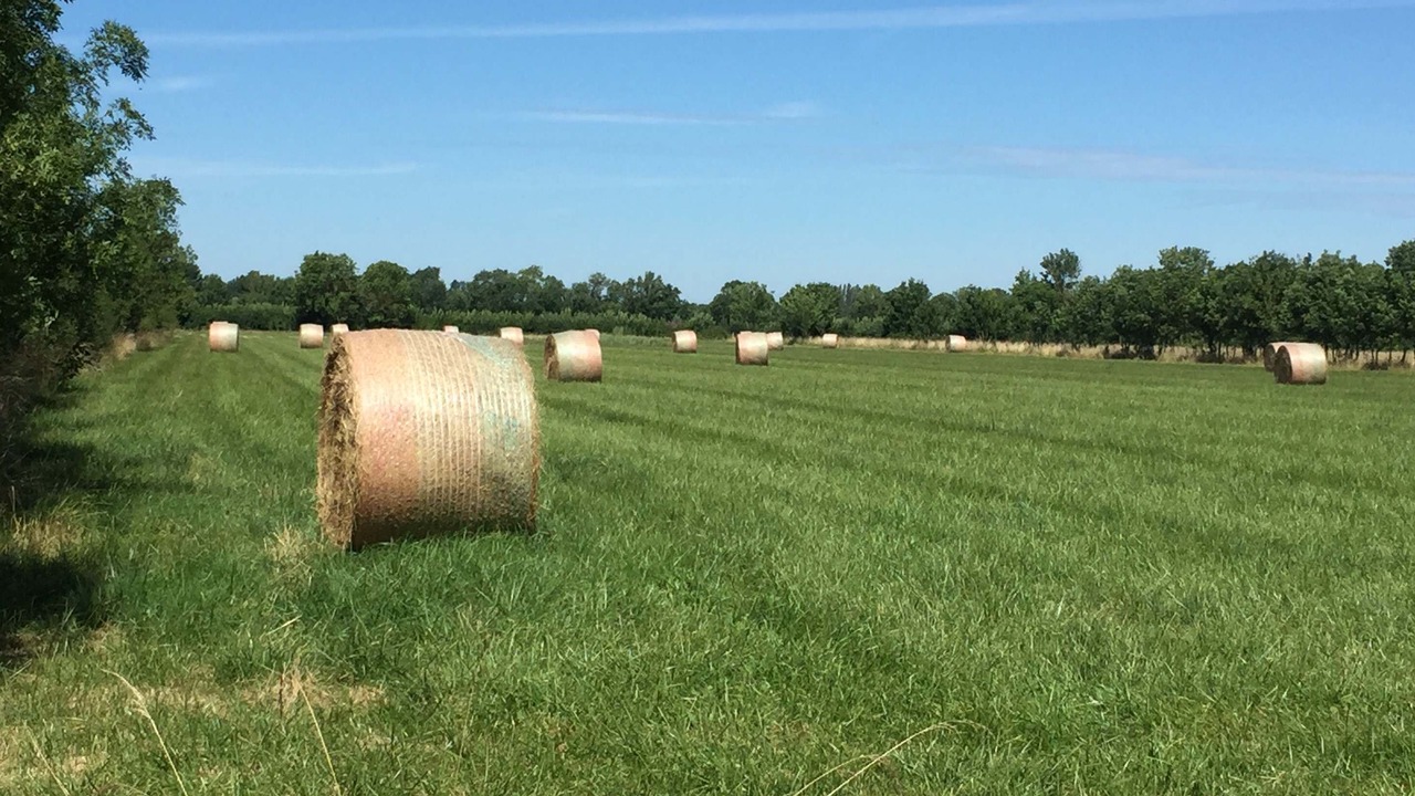 Photo of Others in Port-d'Envaux