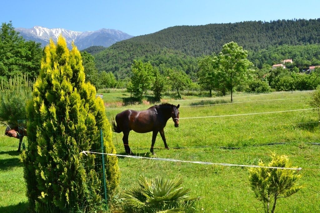 Photo of Others in Corneilla-de-Conflent