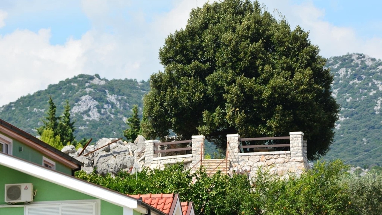 Photo of Outdoor in Peracko Blato