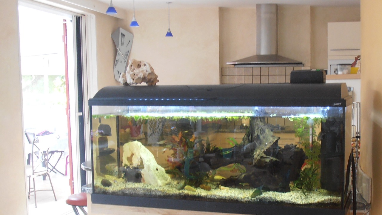 Photo of Others in Les Ponts-de-Ce