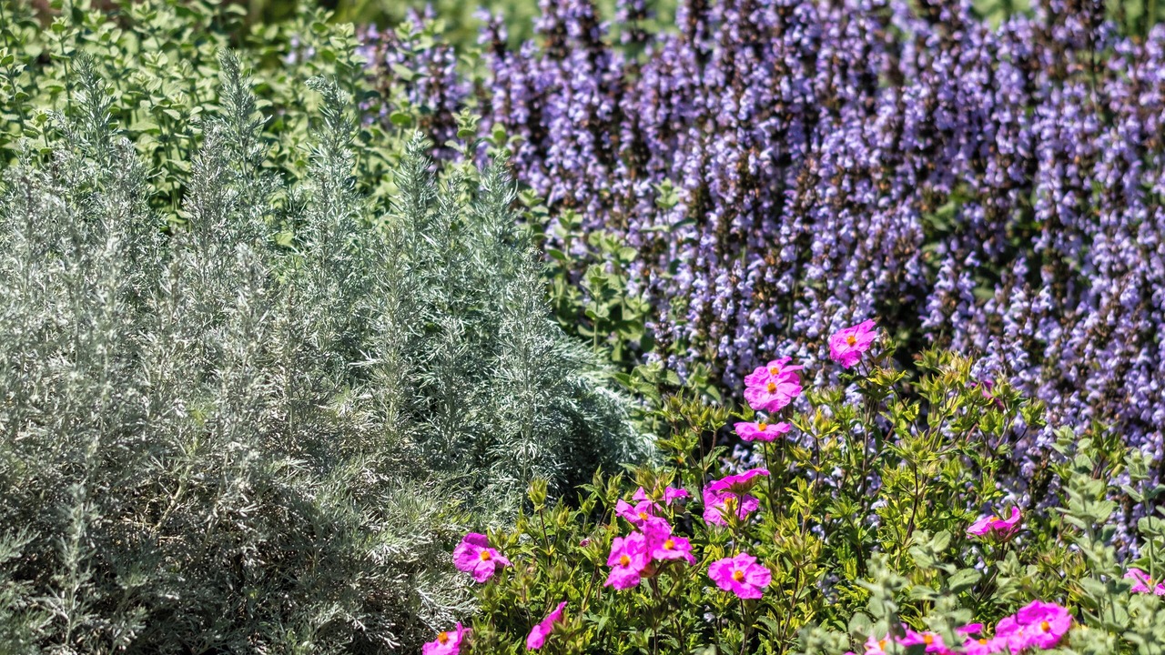 Photo of Outdoor in Limoux