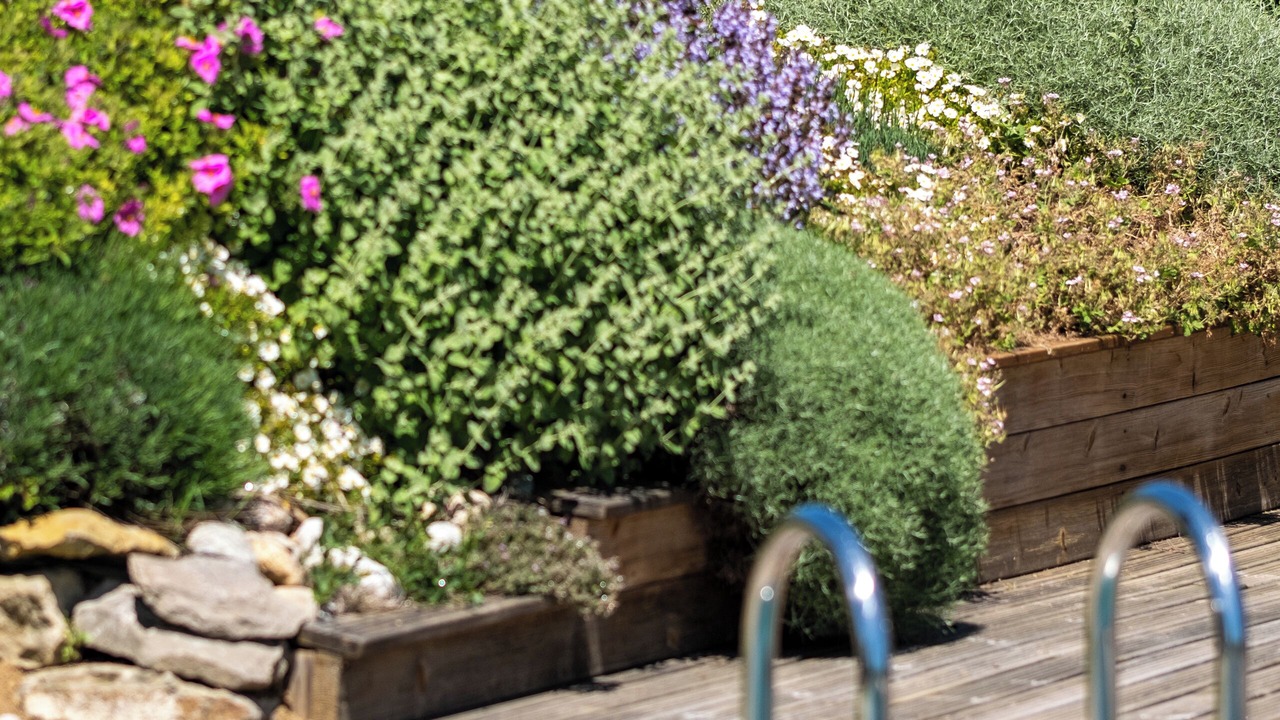 Photo of Outdoor in Limoux