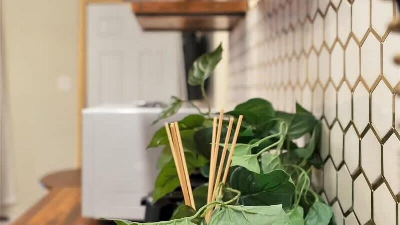 Photo of Others in Canadensis