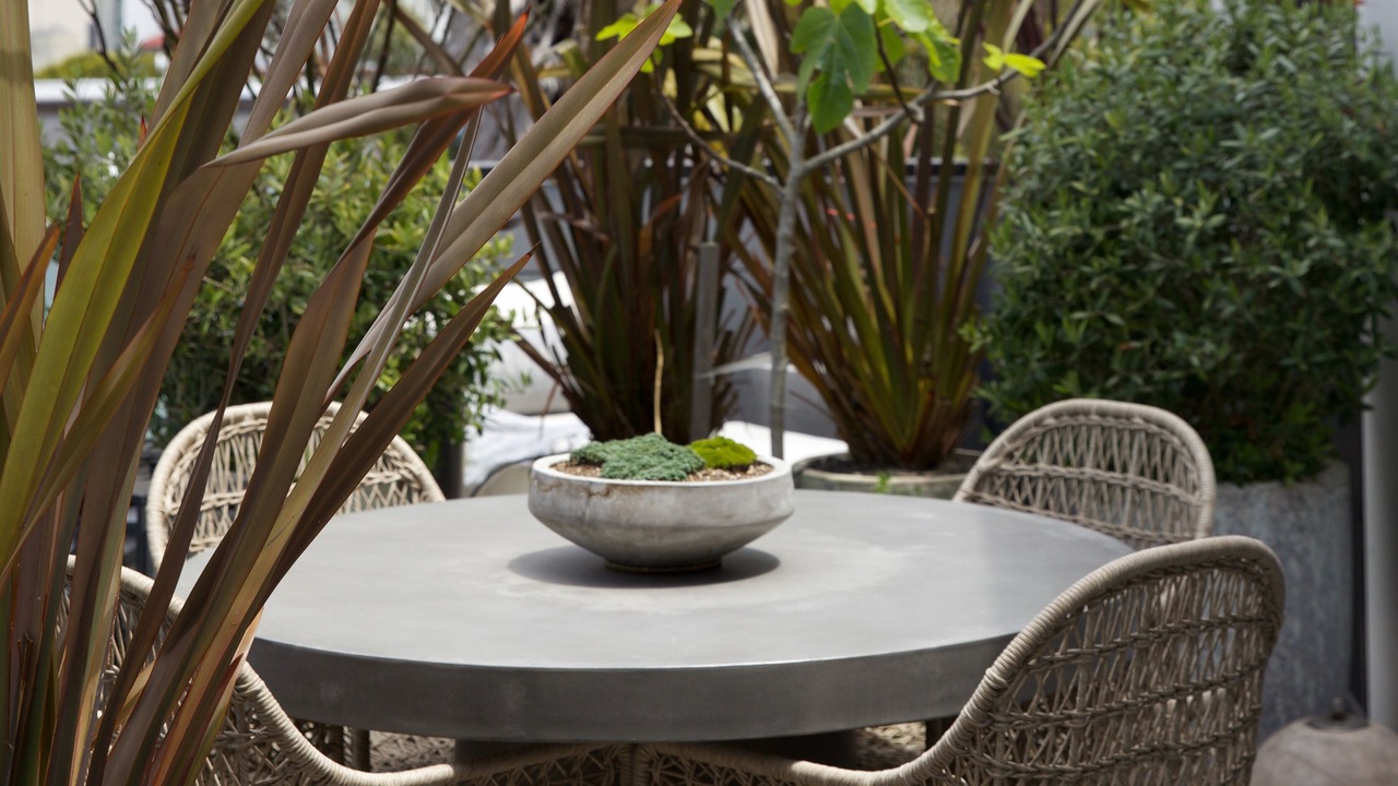 Photo of Outdoor in Hayes Valley