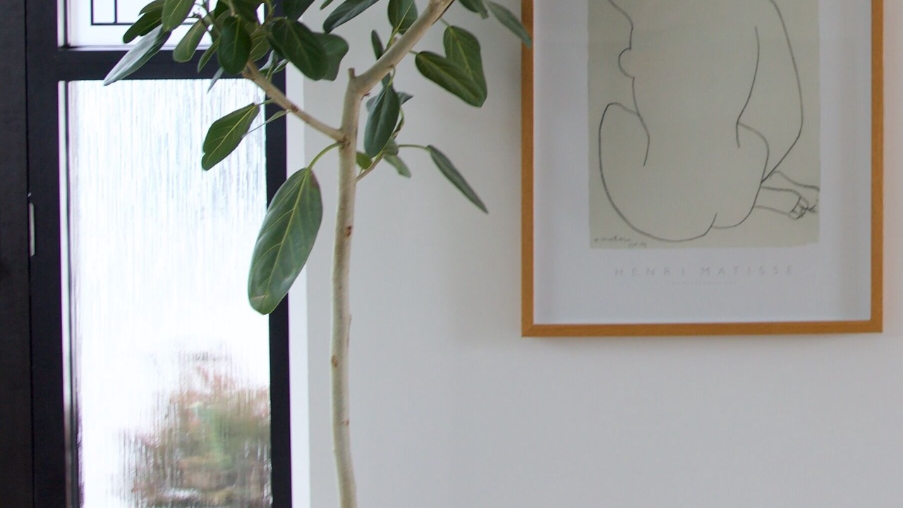 Photo of Others in Hayes Valley