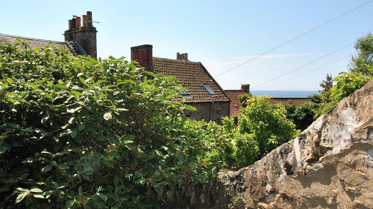 Photo of Outdoor in St Monans