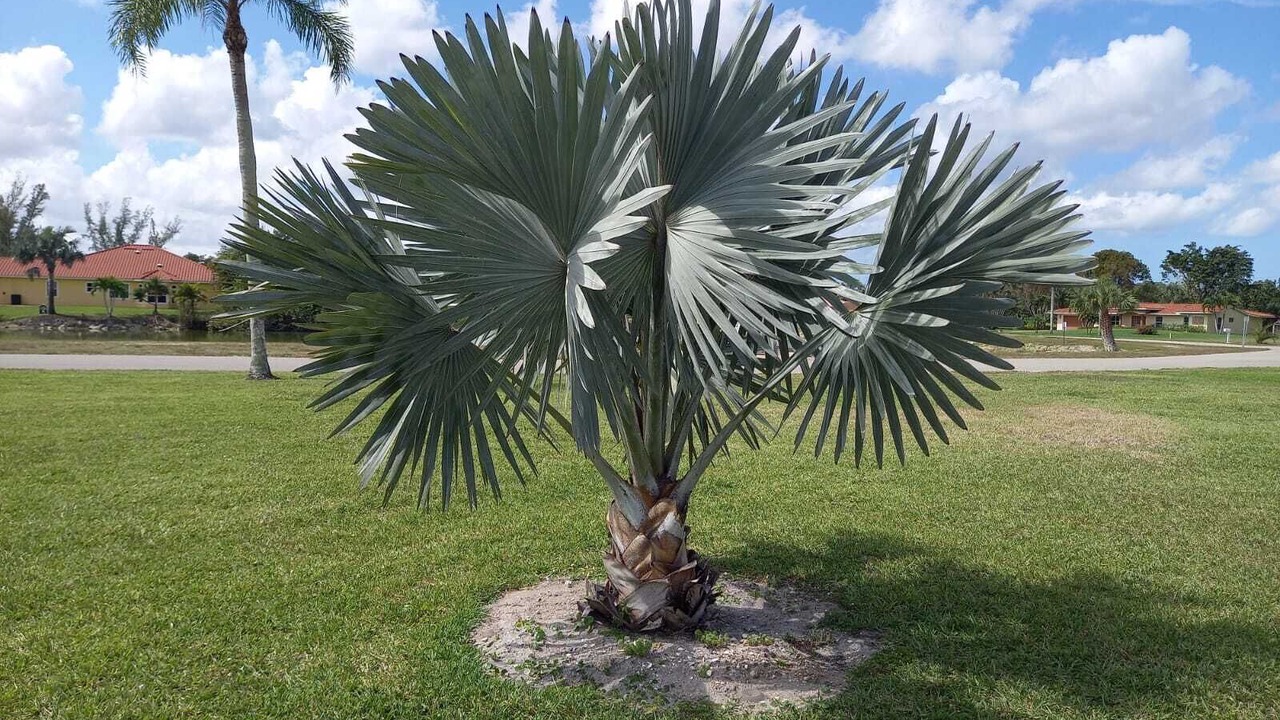 Photo of Outdoor in Bell Villa