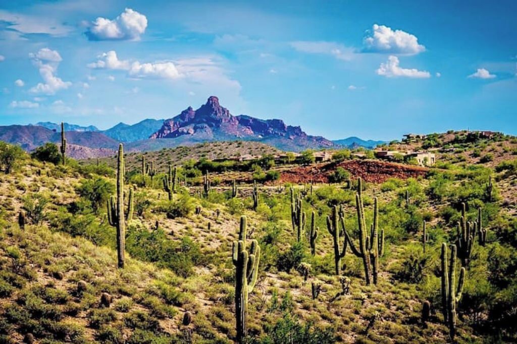 Photo of Others in Fountain Hills