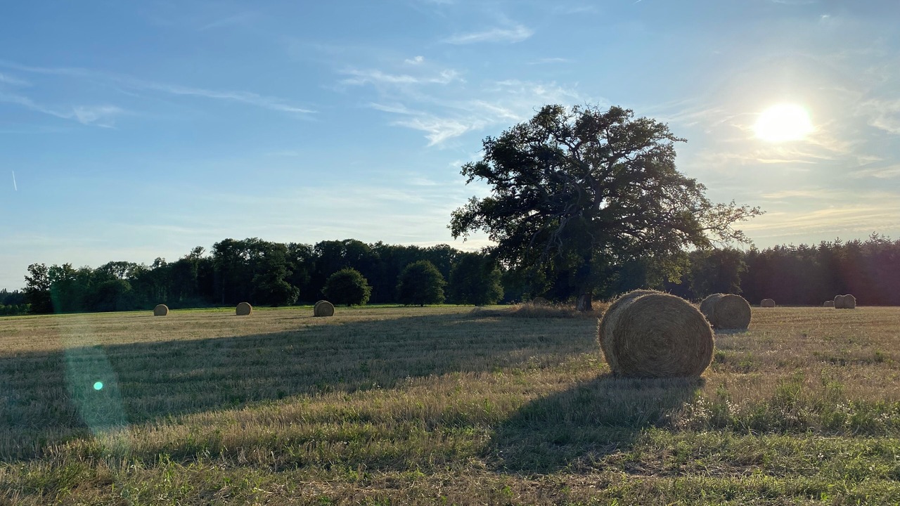 Photo of Others in Beaufort-en-Anjou