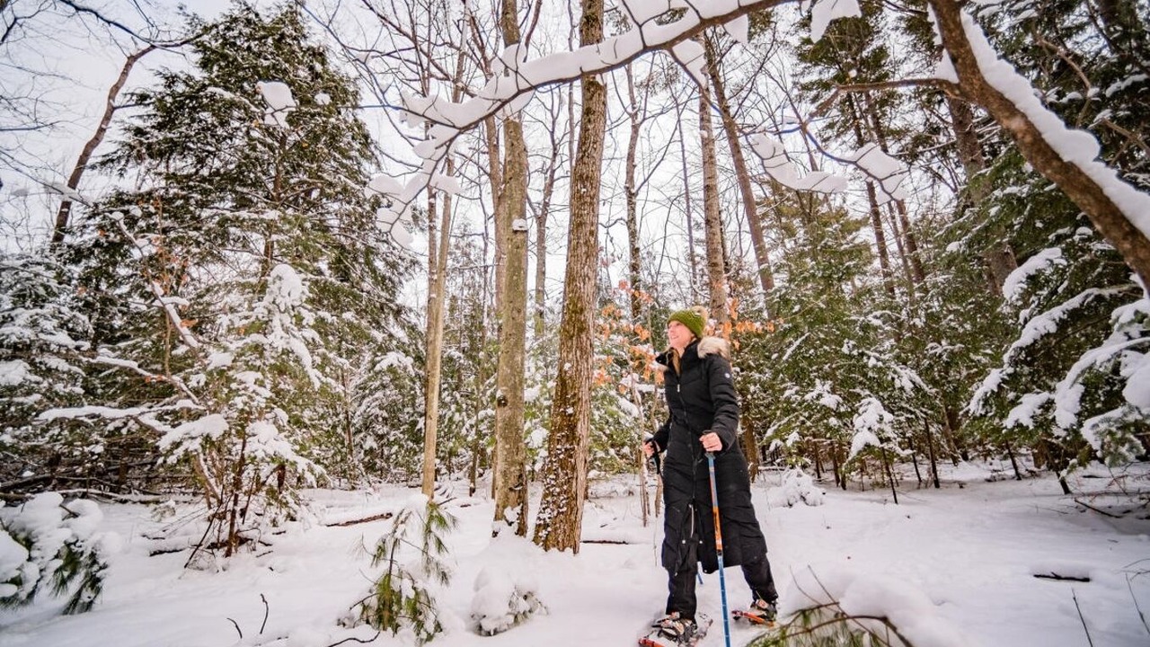 Photo of Others in Highland Lake